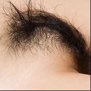 Asian Sex Galleries